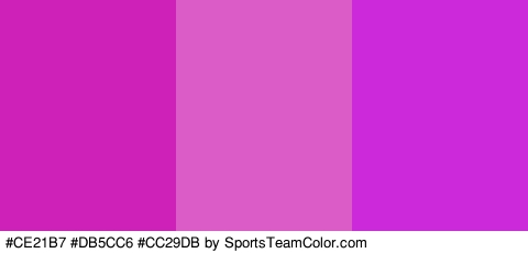 #CE21B7 #DB5CC6 #CC29DB Colors