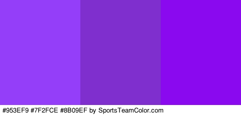 #953EF9 #7F2FCE #8B09EF Colors