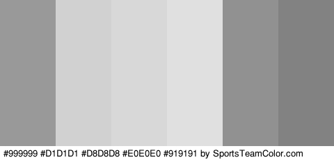 #999999 #D1D1D1 #D8D8D8 #E0E0E0 #919191 #828282 Colors