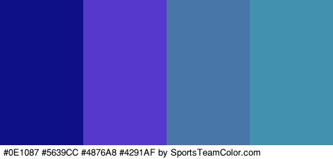 #0E1087 #5639CC #4876A8 #4291AF Colors