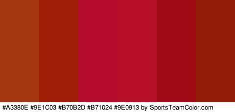 #A3380E #9E1C03 #B70B2D #B71024 #9E0913 #911D0B Colors