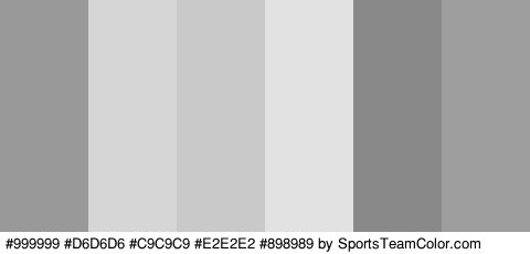 #999999 #D6D6D6 #C9C9C9 #E2E2E2 #898989 #9E9E9E Colors