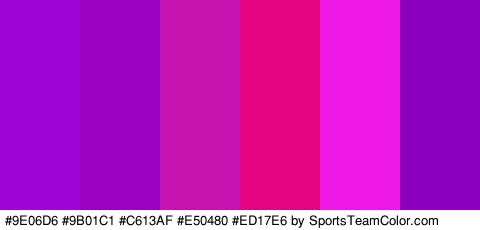 #9E06D6 #9B01C1 #C613AF #E50480 #ED17E6 #8A00BC Colors