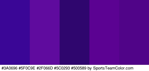 #3A0696 #5F0C9E #2F066D #5C0293 #500589 Colors