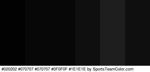 #020202 #070707 #070707 #0F0F0F #1E1E1E #0F0F0F Colors