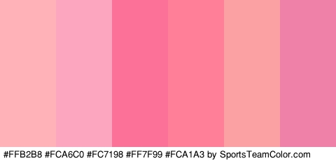 #FFB2B8 #FCA6C0 #FC7198 #FF7F99 #FCA1A3 #EF81A8 Colors