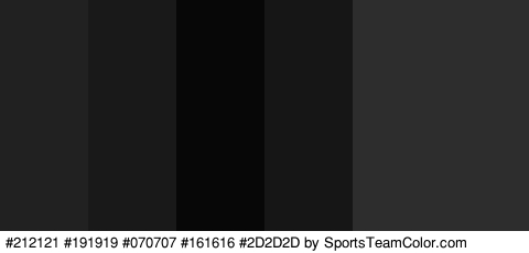 #212121 #191919 #070707 #161616 #2D2D2D #2D2D2D Colors