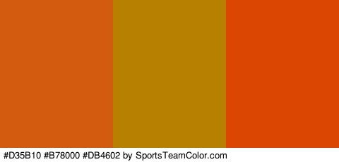 #D35B10 #B78000 #DB4602 Colors