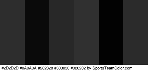 #2D2D2D #0A0A0A #282828 #303030 #020202 #2B2B2B Colors