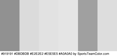 #919191 #DBDBDB #E2E2E2 #E5E5E5 #A0A0A0 #DDDDDD Colors