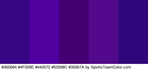 #360684 #4F009E #440072 #53098C #30067A Colors