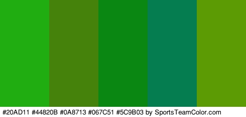 #20AD11 #44820B #0A8713 #067C51 #5C9B03 Colors