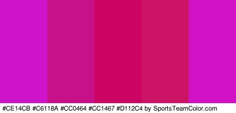 #CE14CB #C6118A #CC0464 #CC1467 #D112C4 Colors