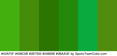 #42AF0F #458C0B #2B7500 #24890B #0BAA3E #518C0E Colors