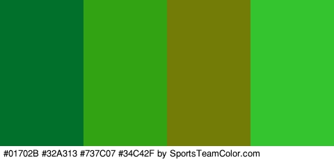 #01702B #32A313 #737C07 #34C42F Colors