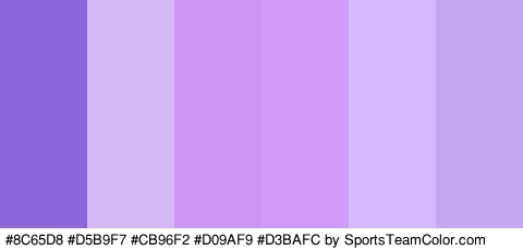 #8C65D8 #D5B9F7 #CB96F2 #D09AF9 #D3BAFC #C4A9F2 Colors