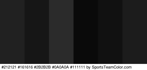 #212121 #161616 #2B2B2B #0A0A0A #111111 #1C1C1C Colors