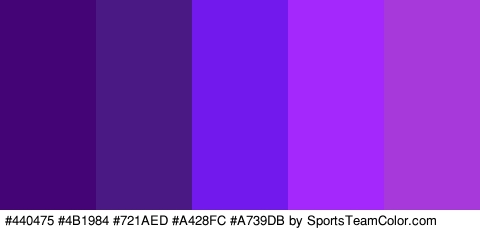 #440475 #4B1984 #721AED #A428FC #A739DB Colors