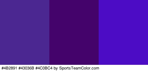 #4B2891 #43036B #4C0BC4 Colors