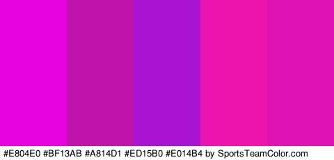 #E804E0 #BF13AB #A814D1 #ED15B0 #E014B4 Colors