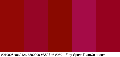 #910805 #960426 #890900 #A50B46 #96011F Colors