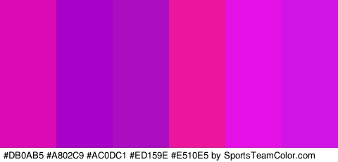 #DB0AB5 #A802C9 #AC0DC1 #ED159E #E510E5 #D014E5 Colors