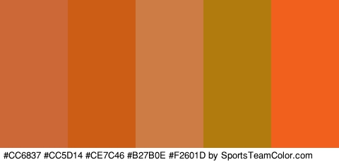 #CC6837 #CC5D14 #CE7C46 #B27B0E #F2601D Colors