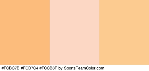 #FCBC7B #FCD7C4 #FCCB8F Colors