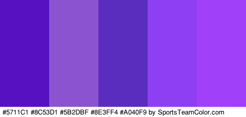 #5711C1 #8C53D1 #5B2DBF #8E3FF4 #A040F9 Colors