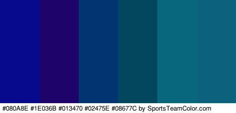 #080A8E #1E036B #013470 #02475E #08677C #0C627C Colors