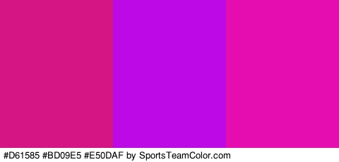 #D61585 #BD09E5 #E50DAF Colors