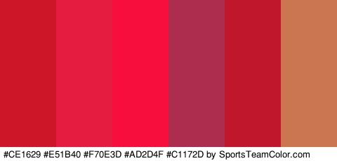 #CE1629 #E51B40 #F70E3D #AD2D4F #C1172D #CC7651 Colors