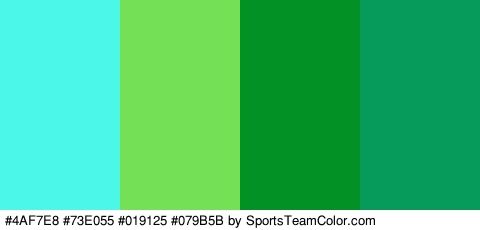 #4AF7E8 #73E055 #019125 #079B5B Colors