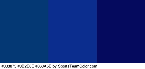 #033875 #0B2E8E #060A5E Colors