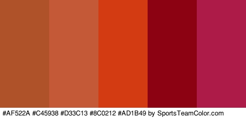 #AF522A #C45938 #D33C13 #8C0212 #AD1B49 Colors