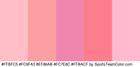 #FFBFC5 #FC9FA3 #EF86AB #FC7E8C #FFBACF Colors