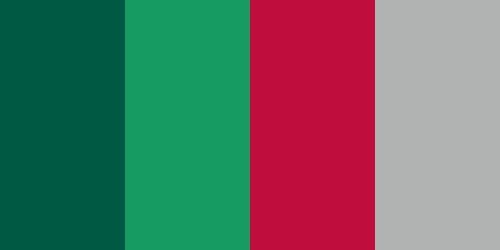 Binghamton Bearcats Colors