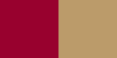 Boston College Eagles Colors