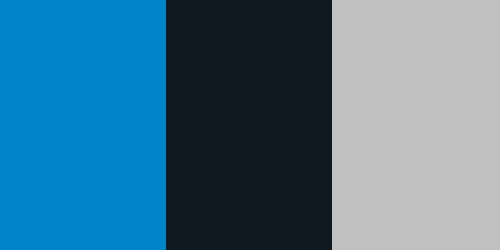 Carolina Panthers Colors