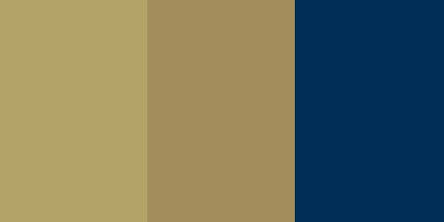 Georgia Tech Yellow Jackets Colors