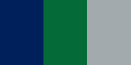 Hartford Whalers Colors