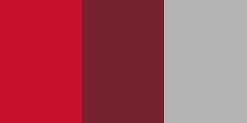 Houston Cougars Colors