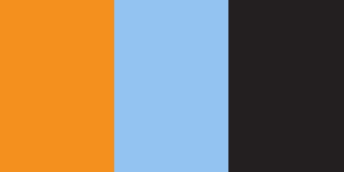 Houston Dynamo Colors