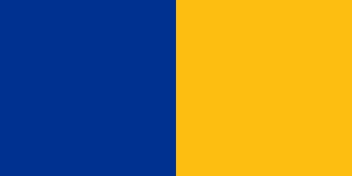 Leicester City Football Club Colors