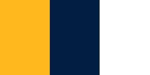 Nashville Predators Colors