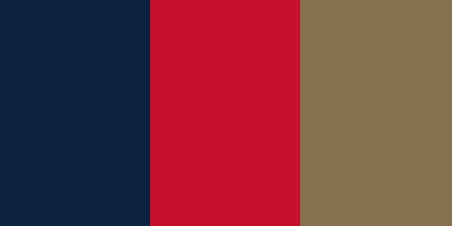 New Orleans Pelicans Colors