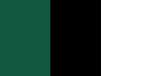 New York Jets Colors