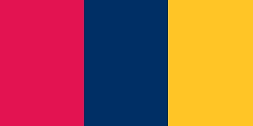 New York Red Bulls Colors