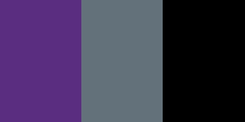 Sacramento Kings Colors