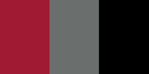 Saint Joseph's Hawks Colors